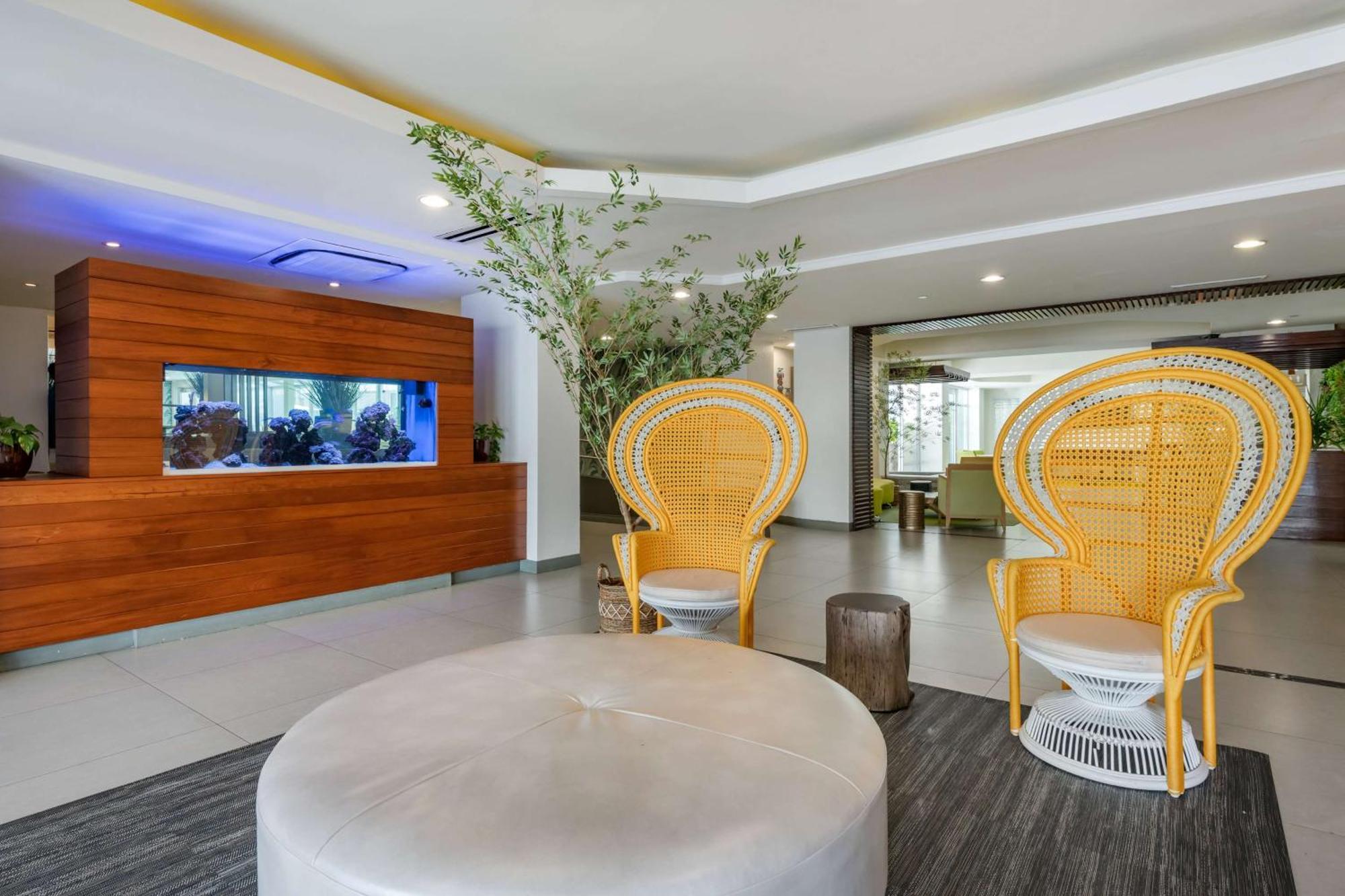 Condado Palm Inn San Juan, Tapestry Collection By Hilton Luaran gambar