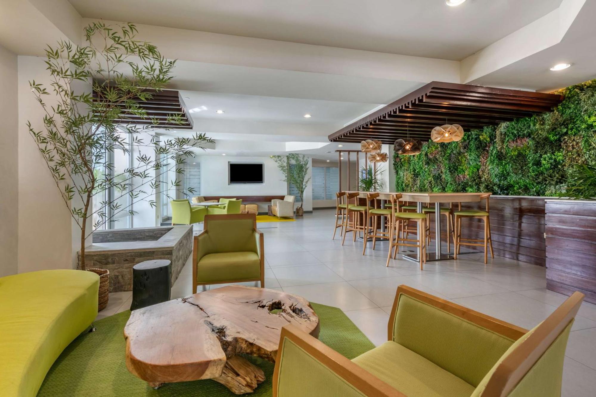 Condado Palm Inn San Juan, Tapestry Collection By Hilton Luaran gambar